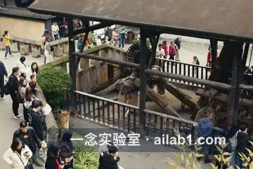 燊海井第 7 张缩略图