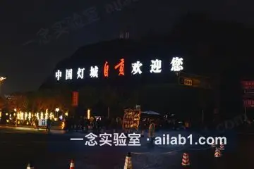 中华彩灯大世界第 1 张缩略图