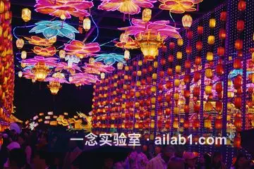 中华彩灯大世界第 9 张缩略图