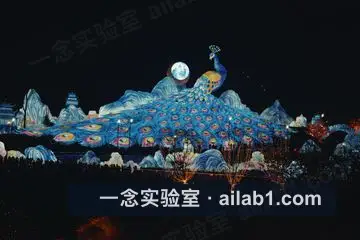 中华彩灯大世界第 11 张缩略图