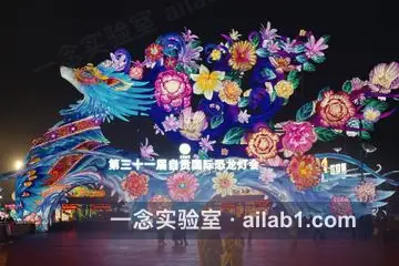 中华彩灯大世界第 12 张缩略图