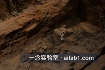 秦始皇陵考古遗址公园第 6 张缩略图