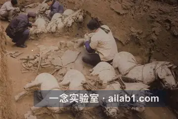 秦始皇陵考古遗址公园第 7 张缩略图