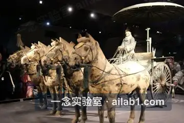 秦始皇陵考古遗址公园第 8 张缩略图