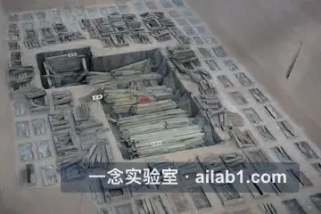 秦公一号大墓缩略图