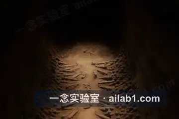 汉景帝阳陵博物院缩略图