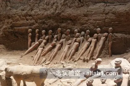 汉景帝阳陵博物院第 2 张缩略图