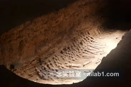 汉景帝阳陵博物院第 3 张缩略图