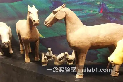 汉景帝阳陵博物院第 7 张缩略图