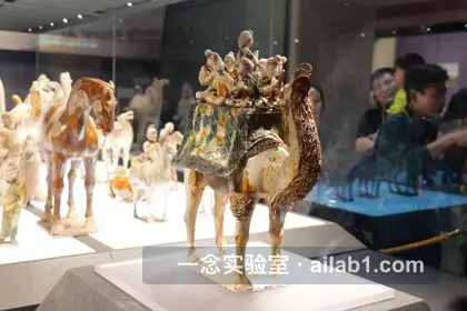 陕西历史博物馆第 15 张缩略图