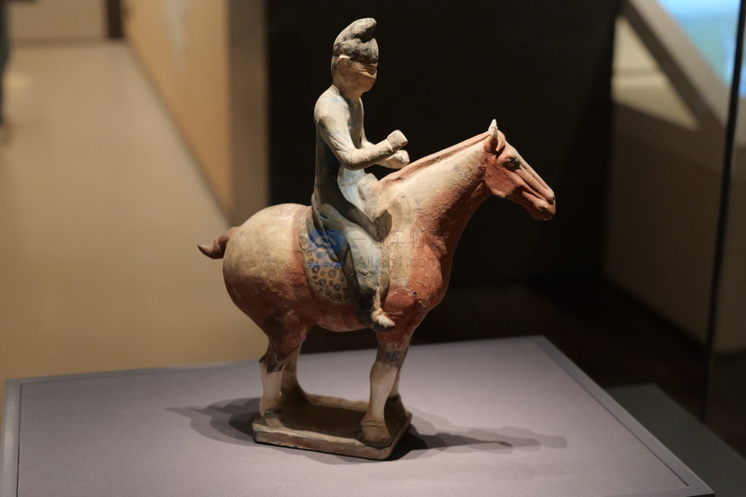 【摄影作品】陕西考古博物馆 高清珍贵文物照片 368套 （6000*4000像素+RW2）【一念实验室版权所有】