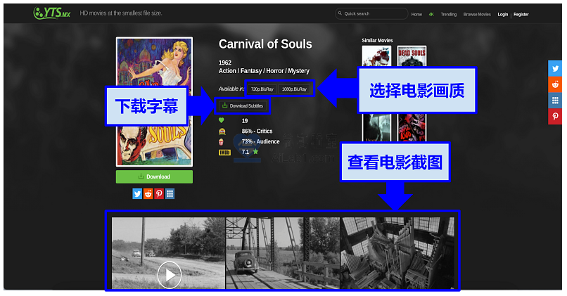 2025年 最佳 推荐 外网 BT下载站 种子下载站 包含镜像网站 备用网址