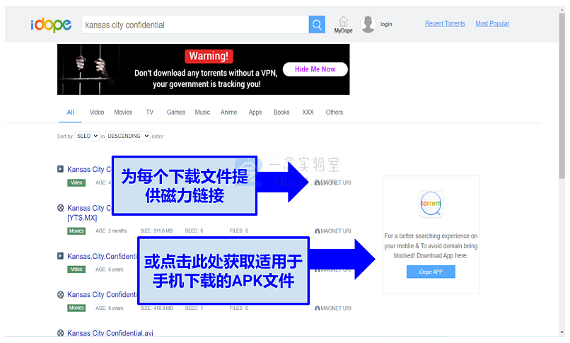 2025年 最佳 推荐 外网 BT下载站 种子下载站 包含镜像网站 备用网址