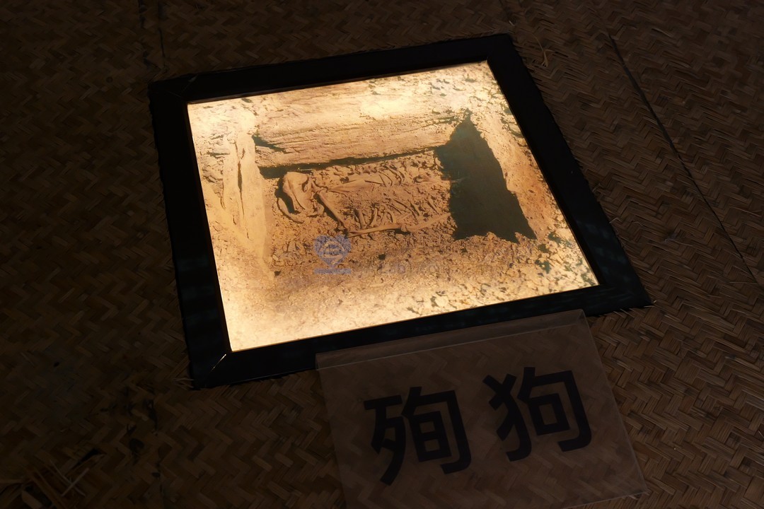【摄影作品】秦公一号大墓 秦景公 残忍的殉葬制度 52套 （6000*4000像素+RW2）【一念实验室版权所有】