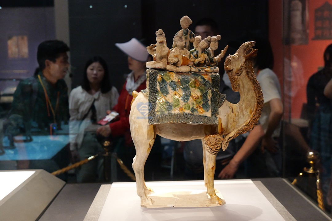 【摄影作品】陕西历史博物馆 高清珍贵文物照片 140套 （6000*4000像素+RW2）【一念实验室版权所有】