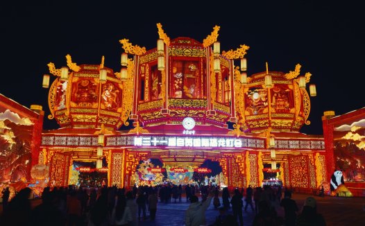 【摄影作品】中华彩灯大世界 37套 图片＋视频（6000*4000像素+RW2）免费分享【一念实验室版权所有】